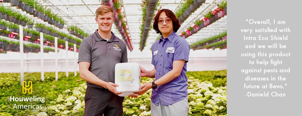 Intra Eco Shield Testimonial - “Overall, I am very satisfied with Intra Eco Shield and we will be using this product to help fight against pests and diseases in the future at Bevo.” -Danield Chan