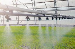 continuous disinfection of water