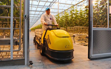 Intrahorti Multi-Des GA